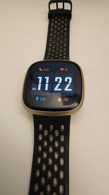 fitbit 1.jpg