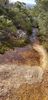 20220818_144746_resized.jpg
