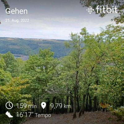 fitbitshare_1108145036.JPEG