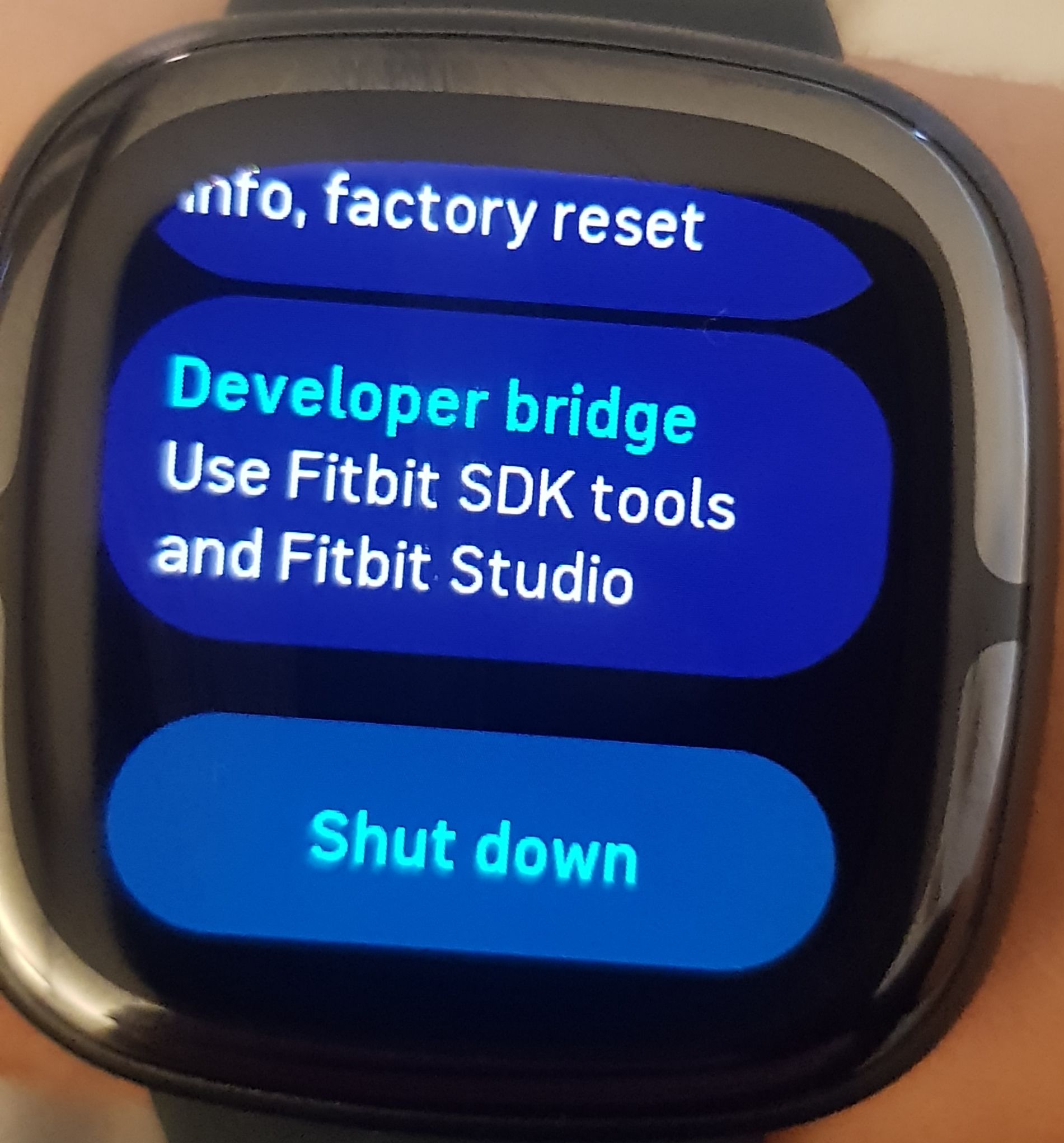 Fitbit SDK