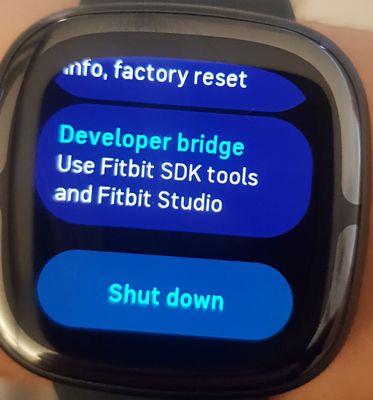Solved: Does Sense 2 have Connected GPS? - Fitbit Community