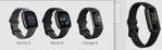 Fitbit size.jpg