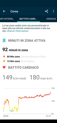 DavideFitbit_0-1666794868083.png