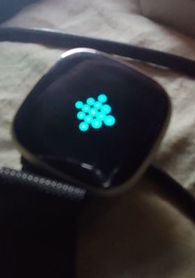 20221107_175906~2.jpg