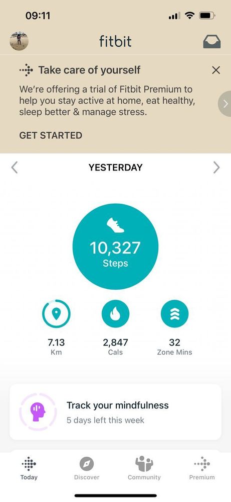 Fitbit Step Count.jpeg