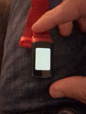 16684257304565467357522158506308.jpg