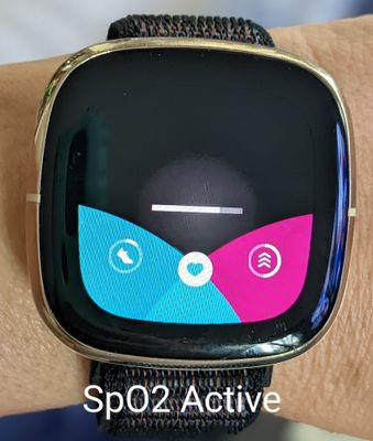 Fitbit cheap versa sp02