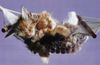 cutenapKitten3.jpg