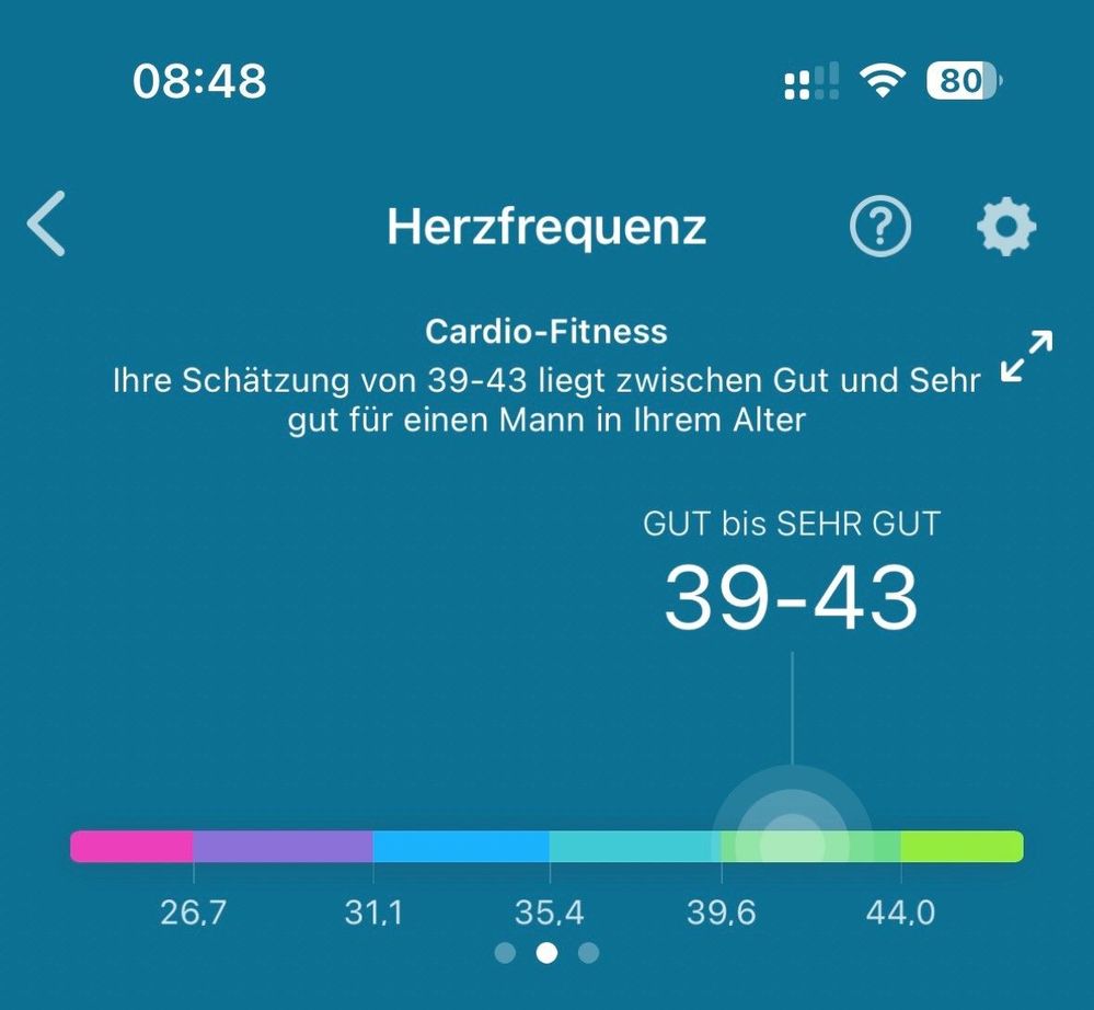 fitbit 1.jpg