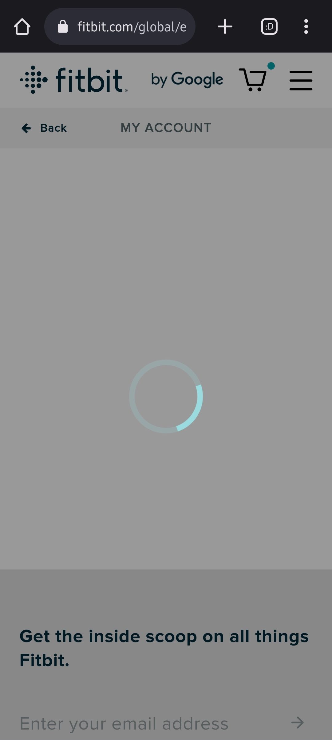 Cannot access my account information (mobile & des... Fitbit Community