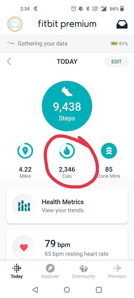 Total cals for day so far