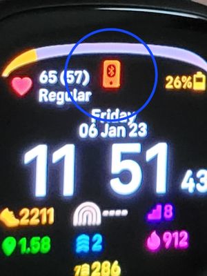 20230106_115147.jpg