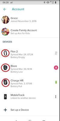 GraceGFitbit_0-1674253824945.jpeg