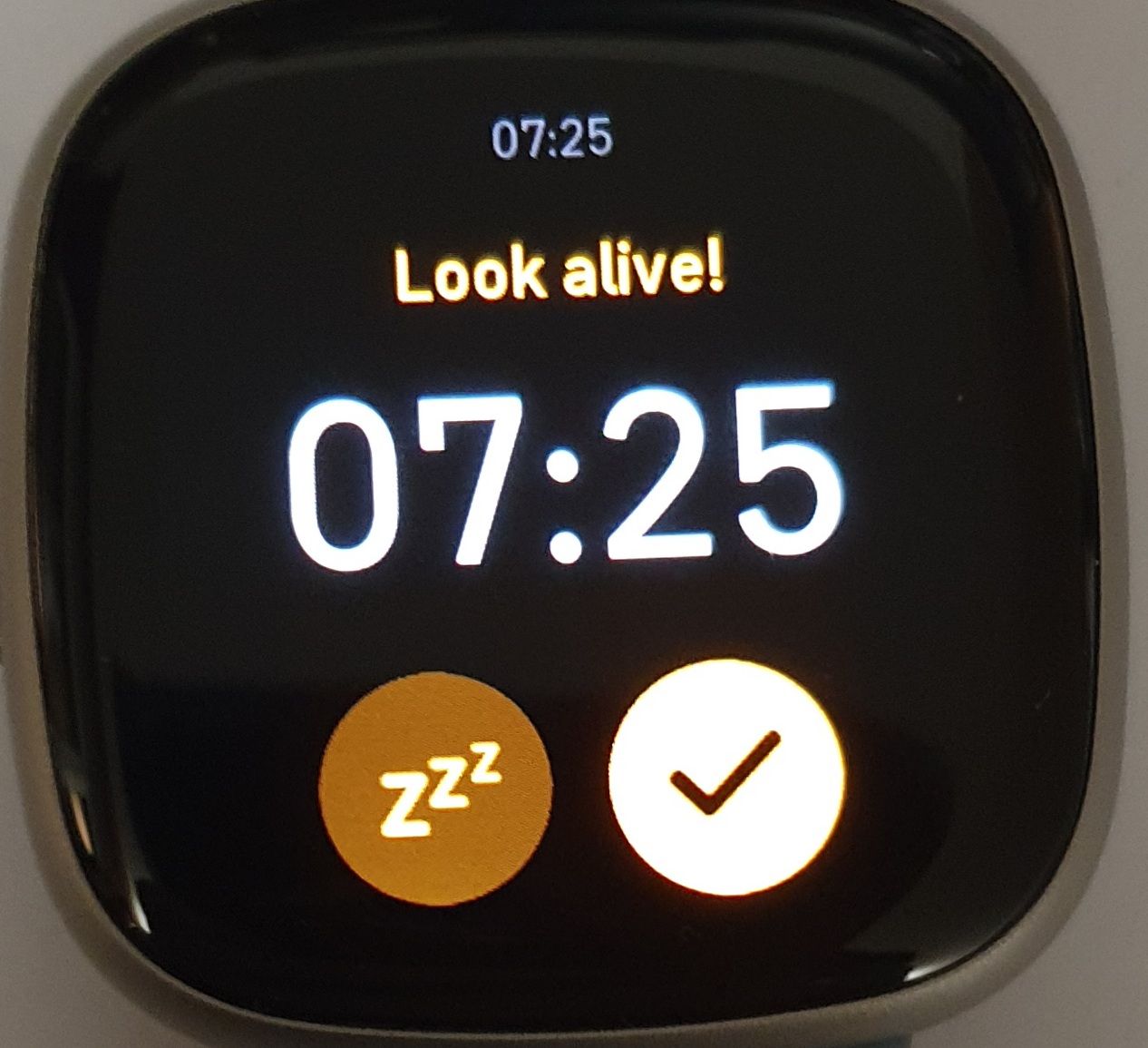 Alarm fitbit versa 2 new arrivals