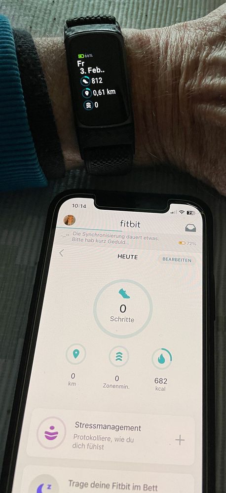 IMG_6948_FitbitSynNicht.jpg