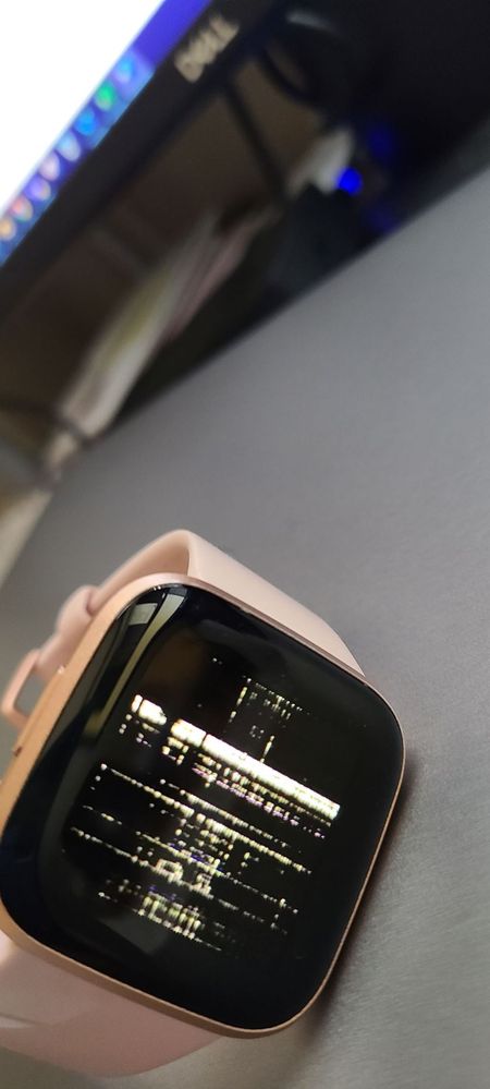 fitbit blur