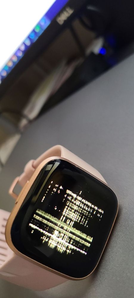 Fitbit blur 2.jpg