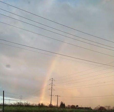 rainbow.jpg