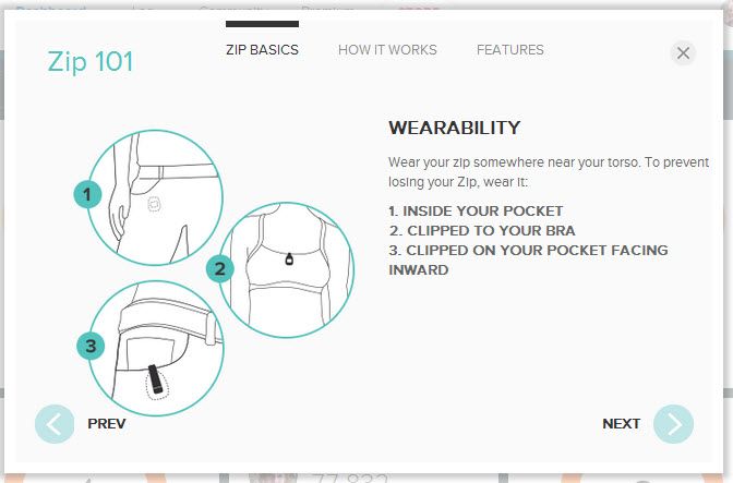 wear zip.jpg