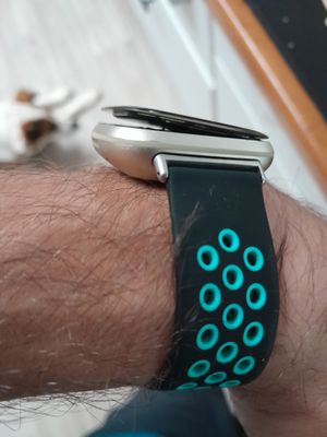 20230310_160348.jpg