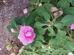 20230314_174801_resized.jpg