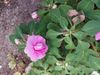 20230314_174801_resized.jpg