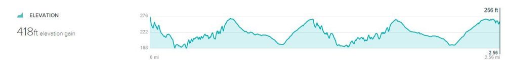 Fitbit Elevation.JPG