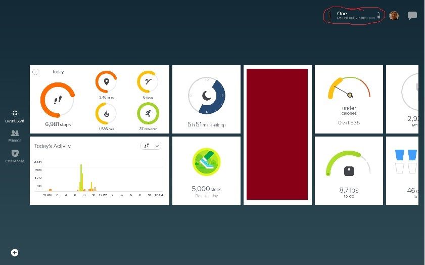 fitbit-win8app.jpg