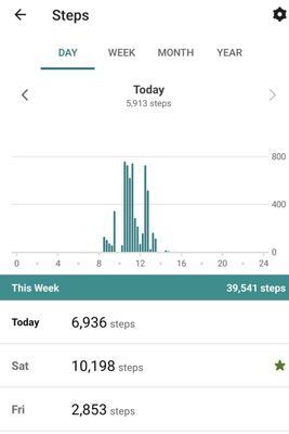 RodrigoMFitbit_0-1679601528375.jpeg
