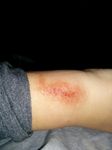 IMG_20131222_005247.jpg