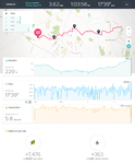 Fitbit Screenshot of Excercise Details