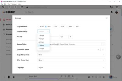 choose-mp3-output-format-deezer.jpg