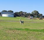 20230503_094150.jpg