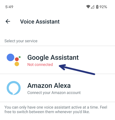 Google assistant online fitbit