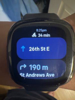 DavideFitbit_0-1688315755801.jpeg
