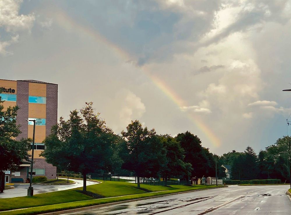 Rainbow in July