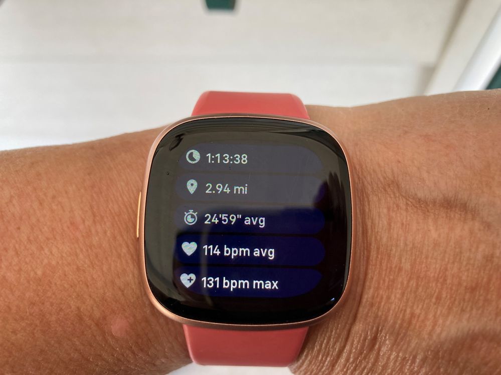 fitbit walk data2.jpg