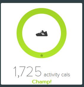 activity calories.jpg
