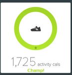 activity calories.jpg