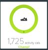 activity calories.jpg