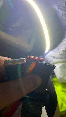 IMG_7550.jpeg
