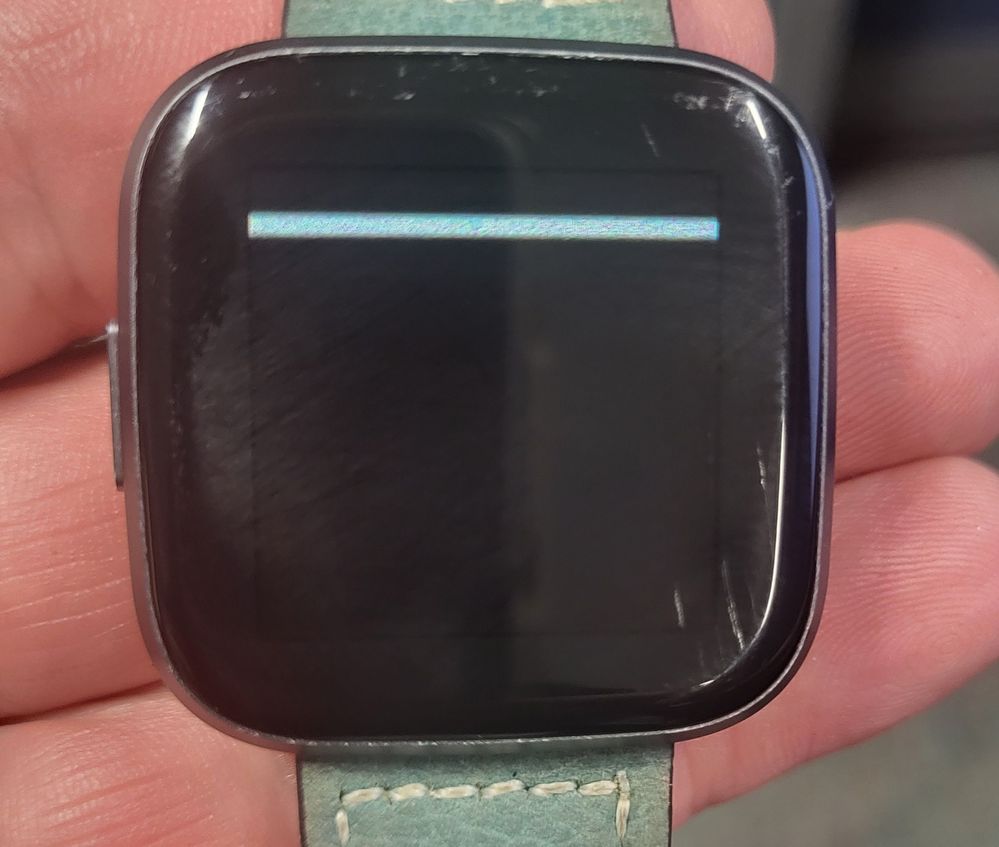 fitbit screen.jpg