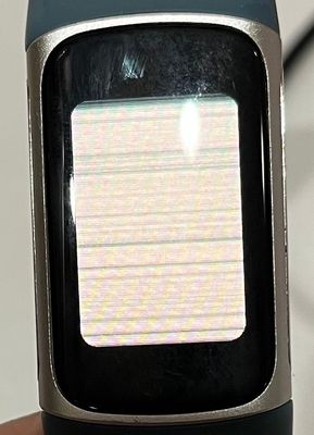 IMG_2357.jpeg