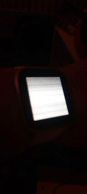 1692827064152665246767432068123.jpg
