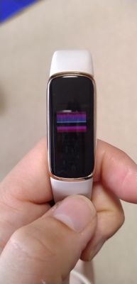 16930933382917191495129770233777.jpg