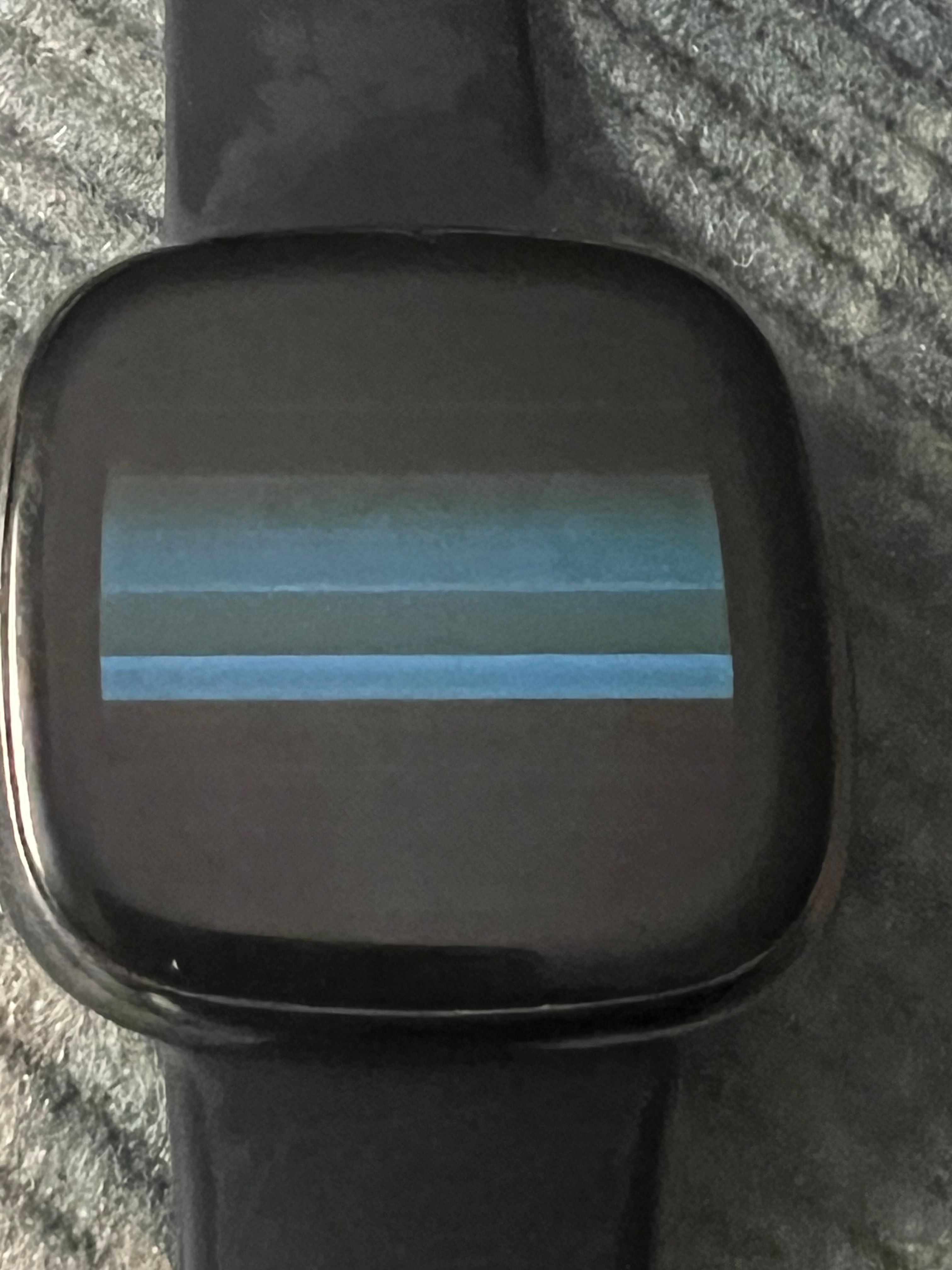 Fitbit versa 2024 gray screen