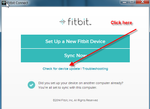 fitbit_example.png