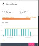 FitBit Flex - Dashboard Problems.