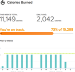 Supposed calories burned for new Flex