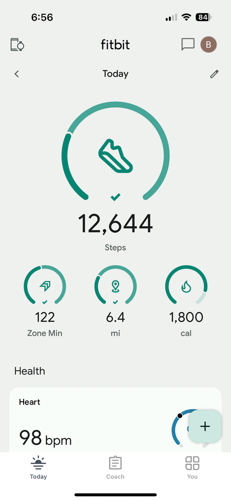 Fitbit.PNG
